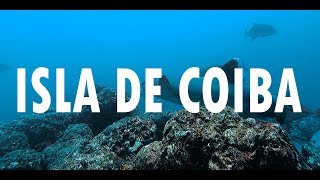 Isla Coiba - PANAMA || Tiburones