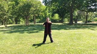 Wing Chun Self Defense Form- Ng Mui Kuen