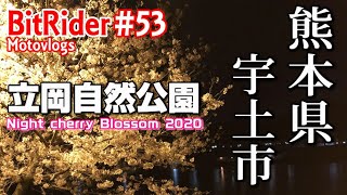 【夜桜ツーリング】Z125 PROで行く！熊本県宇土市 立岡自然公園 #53