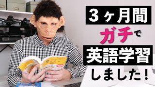 ３ヶ月ガチで英語を勉強した結果... 〔#991〕