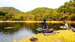 絶対に知られたくない【隠し野池】の全貌を明かしていきましょう。【へらぶな釣り】