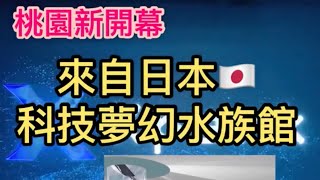 （桃園）Xpark水族館開幕搶先看。超夢幻的企鵝咖啡廳 + 超大福爾摩沙水族箱，你去過嗎？ 2020年8月新開幕超速搶先看！