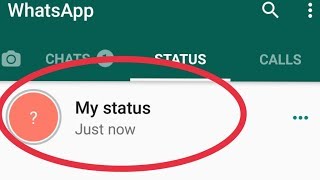 How To Fix My Whatsapp Status Not Showing Other Person Problem Solve