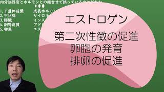 内分泌器官とホルモンの組合せ