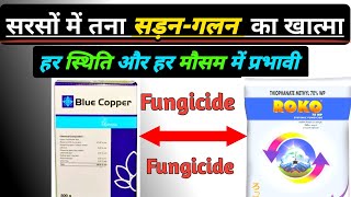 सरसों में तना गलन के लिए जबरदस्त फंगिसाइड का  घोल || Best Fungicide For Mustard Crops ||