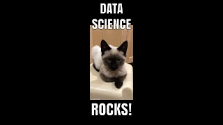 RStudio: One Sample Proportion Test