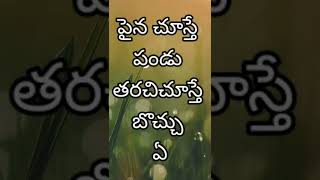 పొడుపు కథలు | podupu kathalu in Telugu ep-17 | Chilipi prashnalu | చిలిపి ప్రశ్నలు | సామెతలు