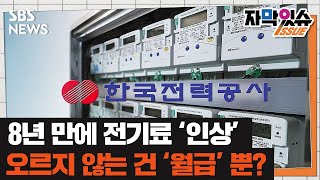 8년 만에 전기요금 인상…안 오르는 건 '월급'뿐? (자막있슈) / SBS