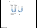 biologie physio introduction à l osmose et la diffusion