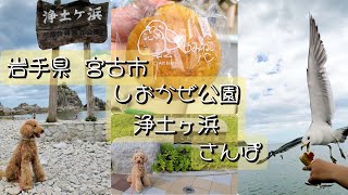 浄土ヶ浜～しおかぜ公園をさんぽ(岩手県宮古市)