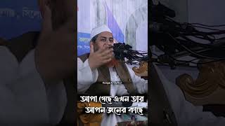 আপা গেছে এখন তার আপন জনের কাছে, শায়খে হাসান জামিল হাফিজুল্লাহ