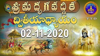 శ్రీమద్భగవద్గీత | SRIMADBHAGAVADGITA | TIRUMALA | 02-11-2020 | SVBC TTD