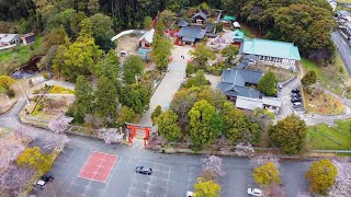 【ドローン空撮】春 桜咲く龍田大社 Drone Dji Mavic Mini