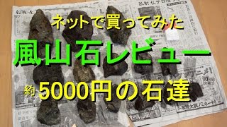 形状おまかせ　風山石レビュー　【約5000円の石達】