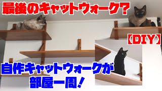 【DIY】キャットウォークが部屋を一周！これが最後のキャットウォーク？【猫】