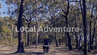 Local Adventure Bike Motorcycle Ride Near Sydney | Watagans \u0026 Ourimbah State Forest Episode 34 in 4k