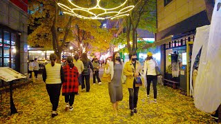 [Korea]골목마다 특색있는 죽전 보정동카페거리Bojeong-dong Cafe Street.[4K]