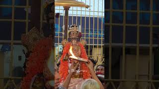 Sri Veeraragava Perumal Thai Bhramotsavam pathi ulathal