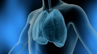 Endobronchial ultrasound (EBUS)