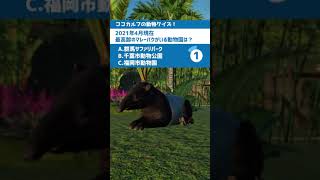 【動物クイズ！マレーバク編 from動物園建築のプラネットズー(第18問) #Shorts 】