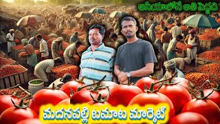 ఆసియాలోనే అతి పెద్ద టమాట మార్కెట్ మదనపల్లిలో | Asia's biggest tamato market madanapalle #tamato