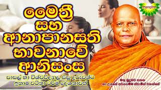 මෛත්‍රී සහ ආනාපානසති භාවනාවේ ආනිසංස