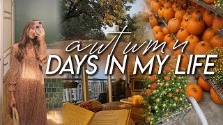 FALL DAYS IN MY LIFE | exciting purchase, fall gardening, sunday reset, & doing new things!