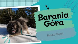 Barania Góra | Beskid Śląski | W góry z psem | Schronisko PTTK Przysłop pod Baranią Górą