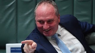 Barnaby Joyce ‘sort of enjoys’ it when he ‘plays the buffoon’