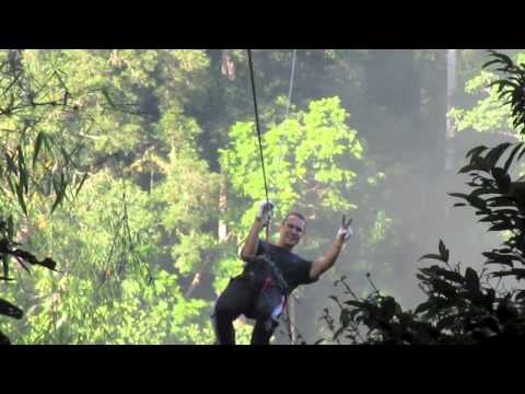 Jauntaroo's Chief World Explorer job application Jauntaroo's Chief World Explorer job application