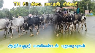 🔥||அரியலூர் மாவட்டம்||ஆதிச்சனூர் மணிகண்டன்||அவர்களின் புதுவரவுகள்||💥#உம்பளச்சேரி