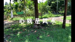 心就是风水