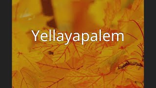 Yellayapalem