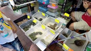 Marché de poisson rouge, marché pour animaux de compagnie dans la rue Tung Choi, Hong Kong