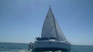 Delphia Sportina 760 2001 Sailing