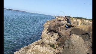 Jetty Fishing   Oregon Coast   Barview Jetty   Black Sea Bass