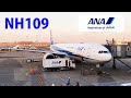 【Flight Tour】2023 ANA All Nippon Airways NH109 B777-300ER New York JFK to Tokyo Haneda