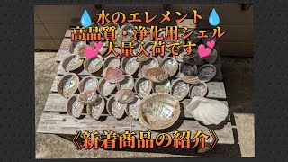 【 新着商品の紹介 】💧水のエレメント💧 高品質・浄化用シェル💕大量入荷です💕『アバロンシェル』 『イタヤ貝』(説明欄もごらんください🍀)