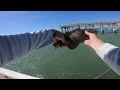 This ABANDONED PIER was LOADED with Fish!!!