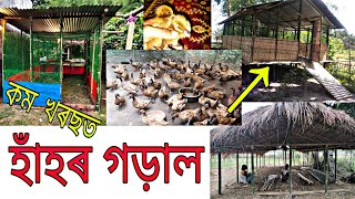 কম খৰছত হাঁহৰ গড়াল এনেকৈ বনাওক/হাঁহ পুহি লাভৱান এনেকৈ/Duck farming house in low cost in Assam/duck