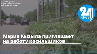 Мэрия Кызыла приглашает на работу косильщиков