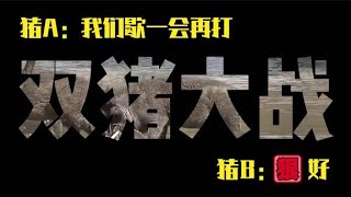 你见过两只野猪打架么？细数疣猪与野猪和其他生物打架的壮观场面