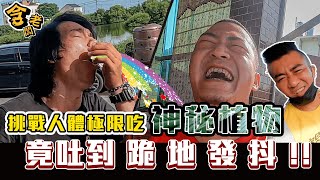 民間流傳最苦藥材！員工挑戰人體極限 吃到烙賽臉？！【含老闆】FT.@monkey051026