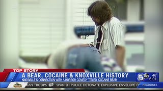 A Bear, Cocaine and Knoxville History: The real case behind 'Cocaine Bear' movie