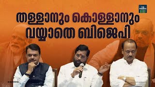 മഹാരാഷ്ട്രയിൽ ബിജെപി ഇനി എന്ത് ചെയ്യും? | BJP | Congress | Mahayuti Alliance | Maharashtra