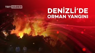 Denizli’de orman yangını