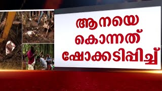 തൃശൂരിൽ ആനയെ കൊന്നത് ഷോക്കടിപ്പിച്ച്; വൈദ്യുത കമ്പികൾ കണ്ടെത്തി