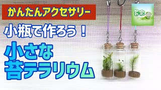 小瓶で作ろう！小さな苔テラリウム【苔テラリウム制作動画】