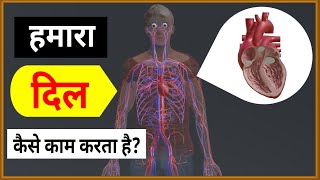 हमारा दिल कैसे काम करता है? | How does our Heart work? | 3D Animation 🔥🔥🔥