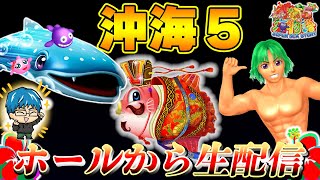 【Live81連①】Pスーパー海物語IN沖縄5!よっしぃの生配信!!